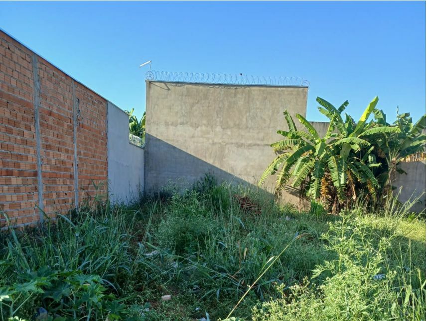 Imagem 3 do Leilão de Terreno - Residencial José Pedro Carneiro - Pontal/SP