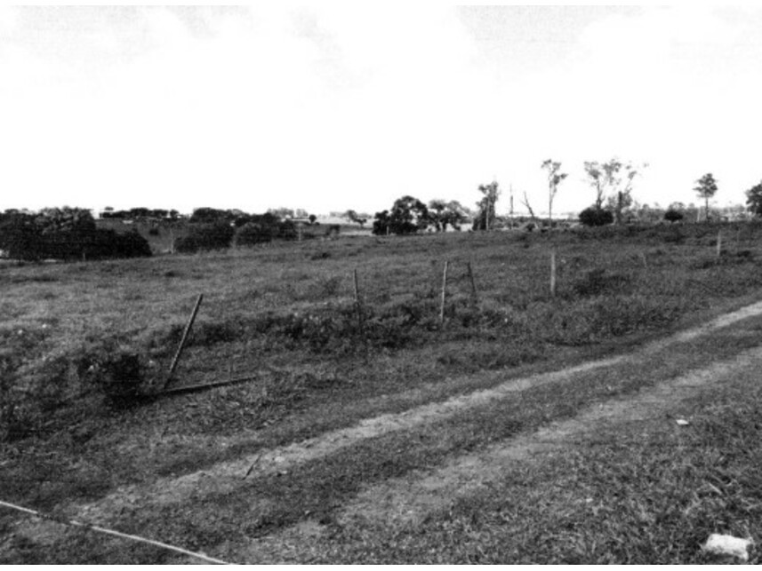 Imagem 5 do Leilão de Terreno c/benfeitorias - Fazenda Felicidade - São José do Rio Preto/SP