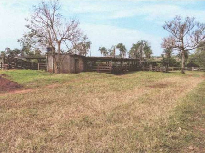 Imagem 9 do Leilão de Área Rural - Zona Rural - Itarumã/GO