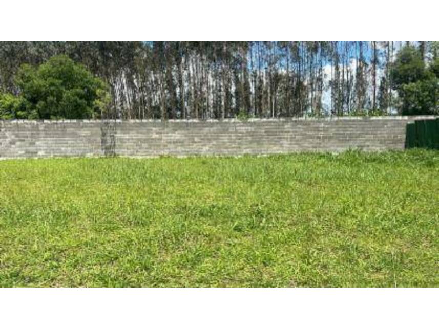 Imagem 3 do Leilão de Terreno - Colônia Dona Luíza - Ponta Grossa/PR
