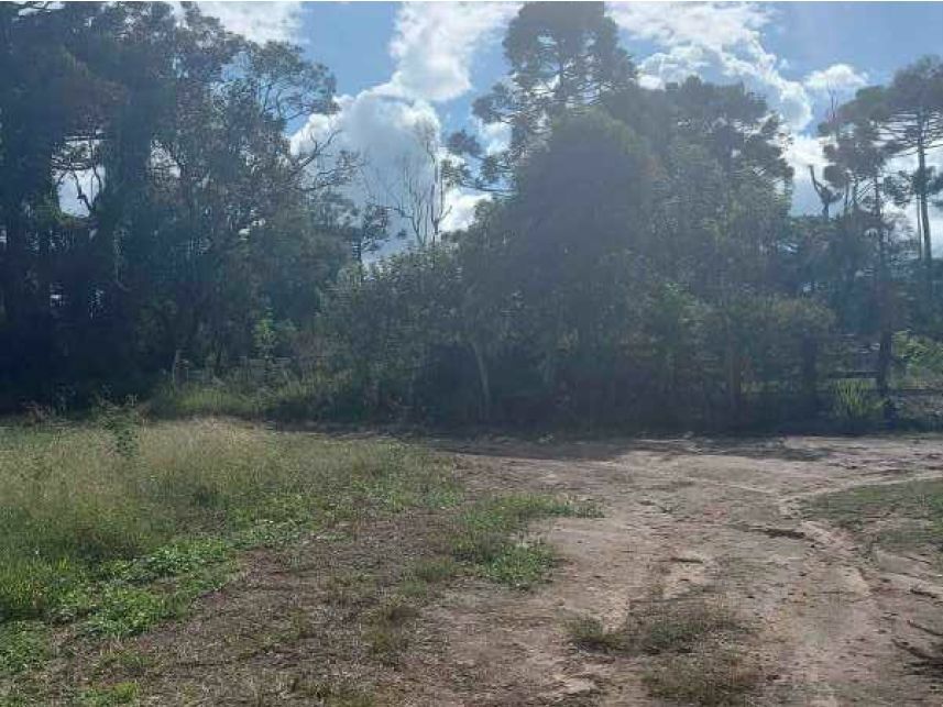 Imagem 4 do Leilão de Área Rural - Área Rural - Campo do Tenente/PR