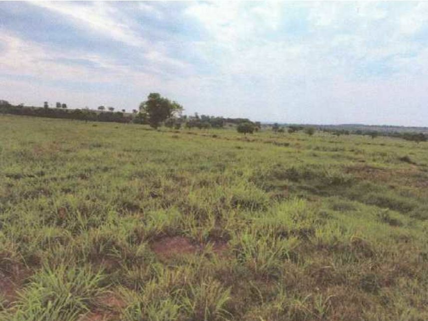 Imagem 5 do Leilão de Área Rural - Zona Rural - Itarumã/GO