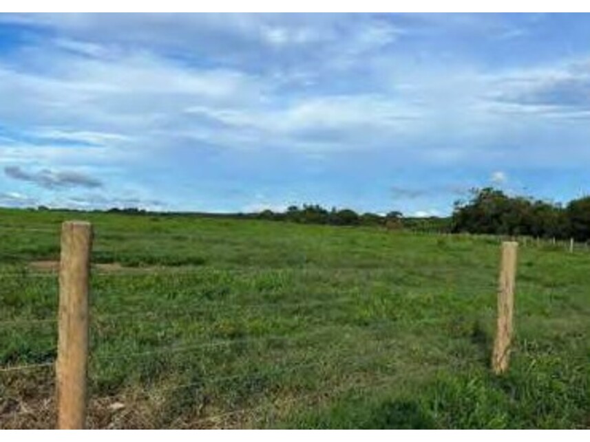 Imagem 15 do Leilão de Área Rural - Zona Rural - Alto Boa Vista/MT