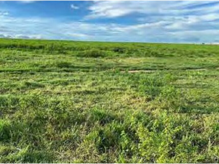 Imagem 17 do Leilão de Área Rural - Zona Rural - Alto Boa Vista/MT