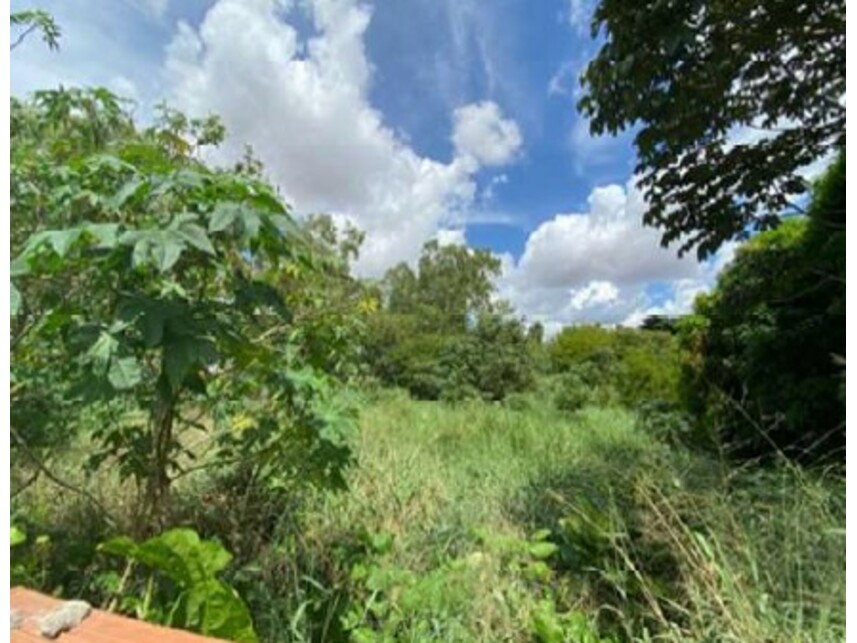 Imagem 2 do Leilão de Terreno - Cohama - São Luís/MA