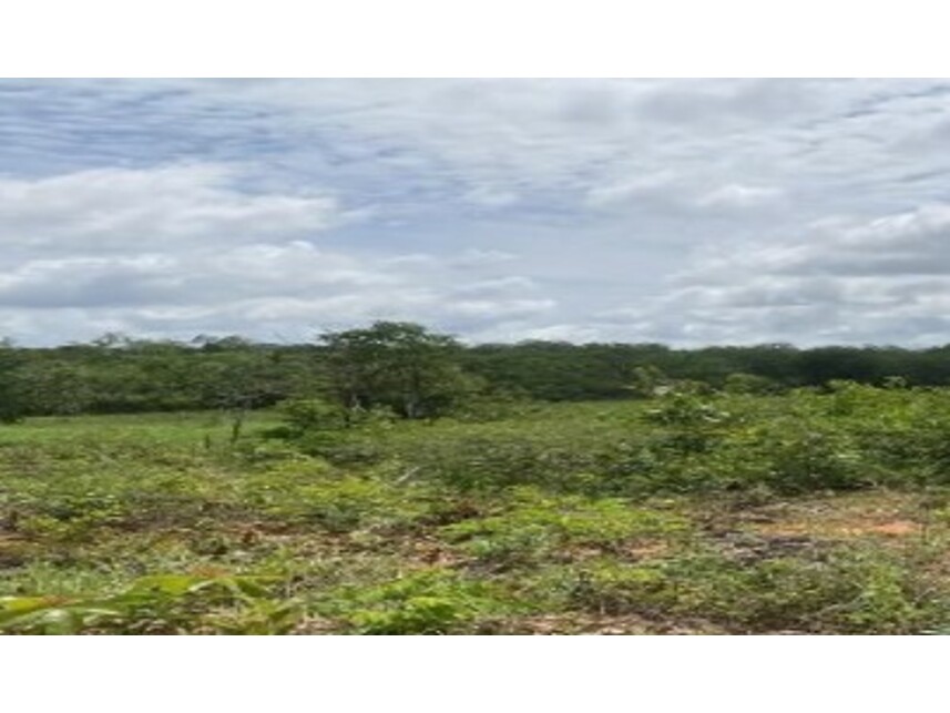 Imagem 1 do Leilão de Área Rural - Área Rural de Serra Dourada - Serra Dourada/BA