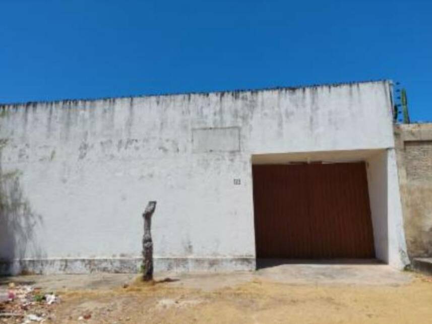 miniatura-2
