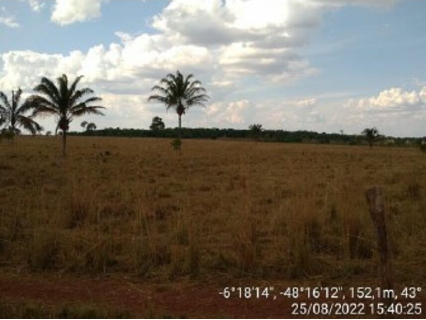 Imagem 16 do Leilão de Área Rural - Zona Rural - Ananás/TO