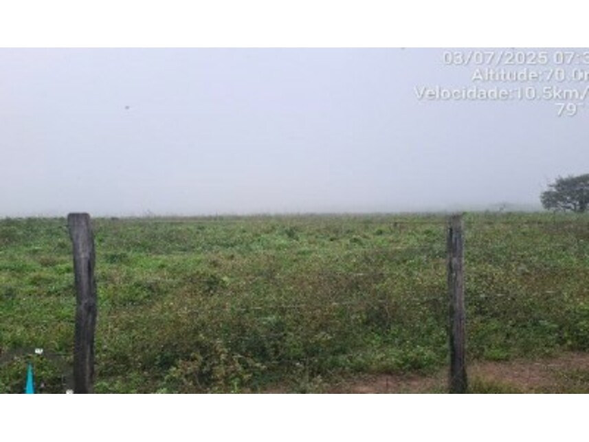 Imagem 15 do Leilão de Área Rural - Zona Rural - Paragominas/PA