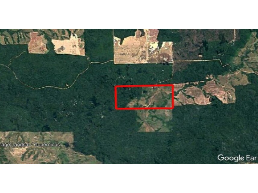 Imagem 2 do Leilão de Área Rural - Zona Rural - Paragominas/PA