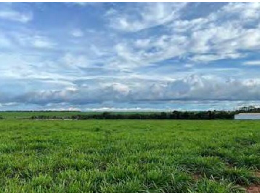 Imagem 3 do Leilão de Área Rural - Zona Rural - Alto Boa Vista/MT