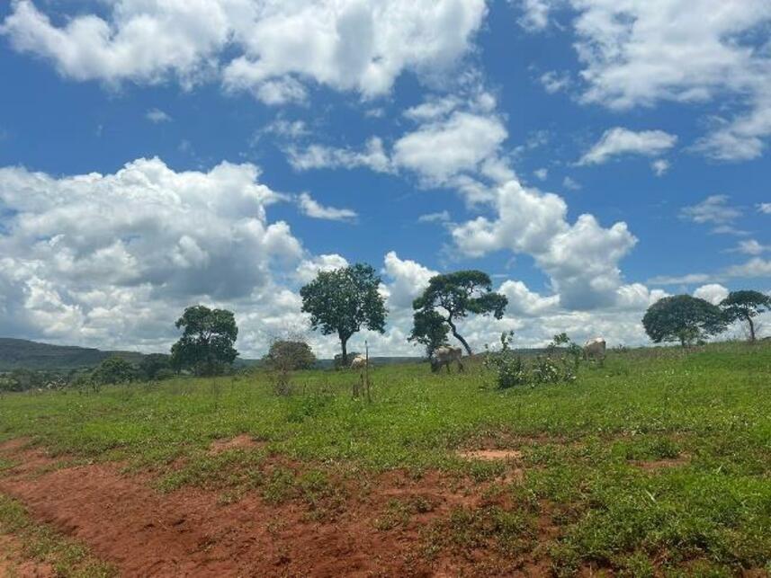 Imagem 6 do Leilão de Área Rural - Zona Rural - Gurinhatã/MG