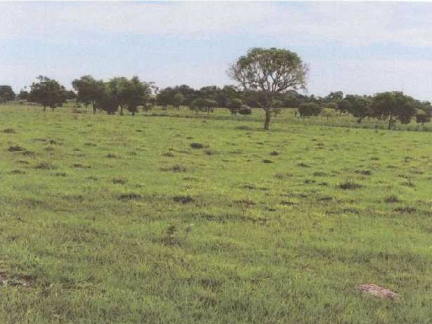 Imagem 3 do Leilão de Área Rural - Zona Rural - Itarumã/GO