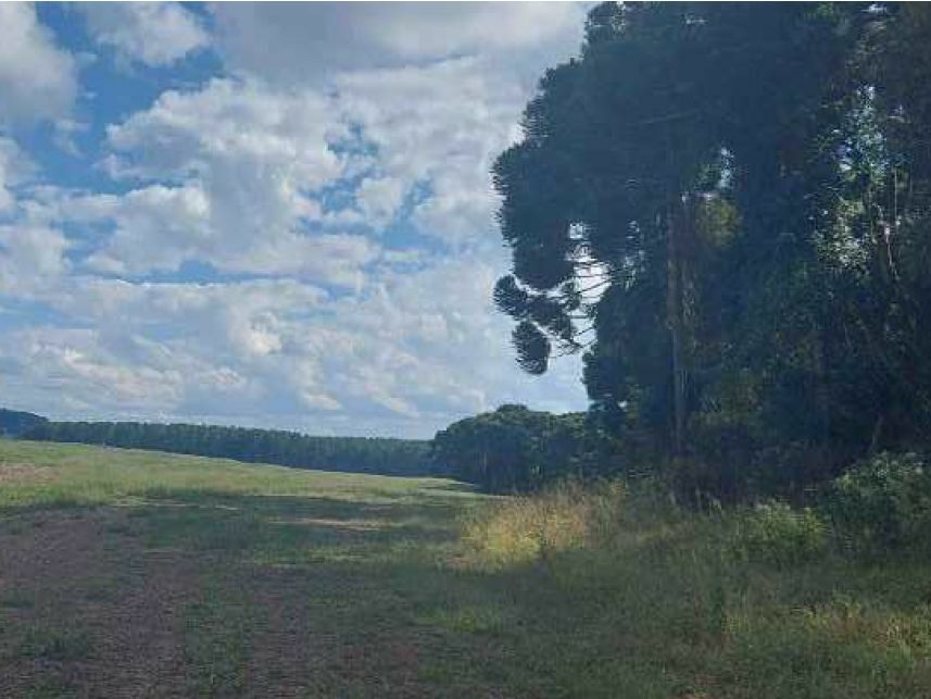 Imagem 2 do Leilão de Área Rural - Área Rural - Campo do Tenente/PR