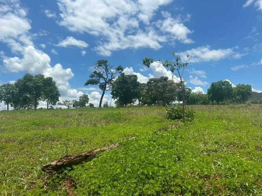 Imagem 4 do Leilão de Área Rural - Zona Rural - Gurinhatã/MG