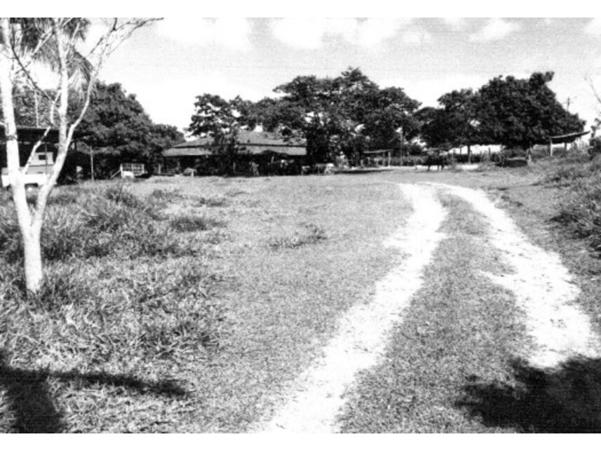 Imagem 3 do Leilão de Terreno c/benfeitorias - Fazenda Felicidade - São José do Rio Preto/SP