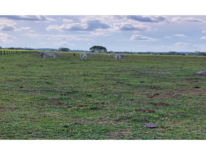 Imagem 4 do Leilão de Área Rural - Zona Rural - Colíder/MT