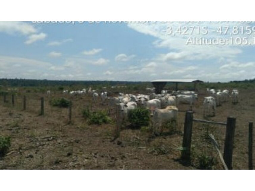 Imagem 9 do Leilão de Área Rural - Zona Rural - Paragominas/PA