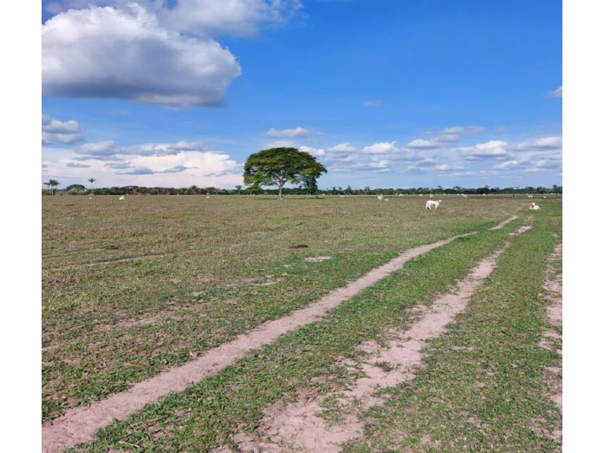 Imagem 2 do Leilão de Área Rural - Zona Rural - Colíder/MT