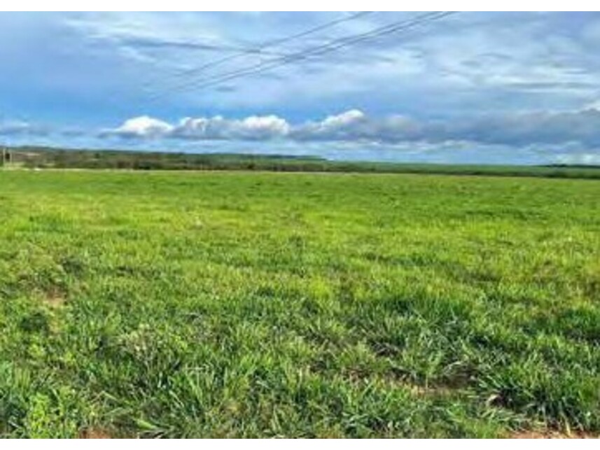 Imagem 10 do Leilão de Área Rural - Zona Rural - Alto Boa Vista/MT