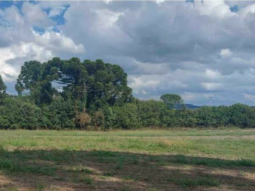 Imagem 5 do Leilão de Área Rural - Área Rural - Campo do Tenente/PR