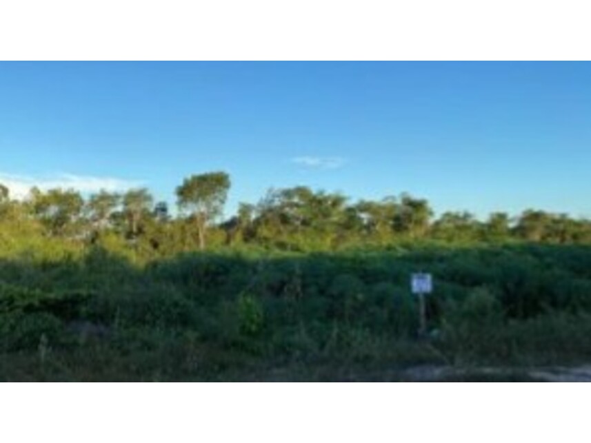 Imagem 2 do Leilão de Terreno - Parque Moises Amorim - Chapadinha/MA