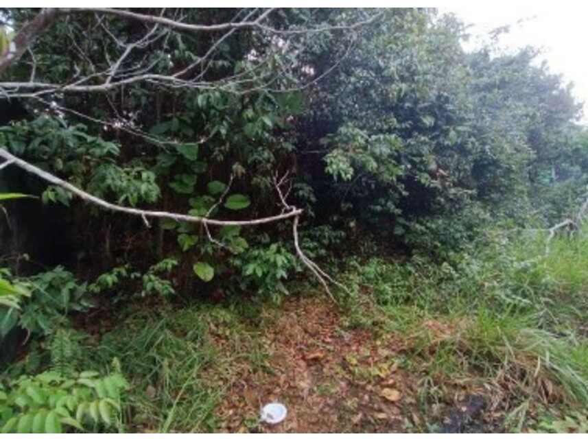 Imagem 3 do Leilão de Terreno - Loteamento Villa Suíça - Manaus/AM