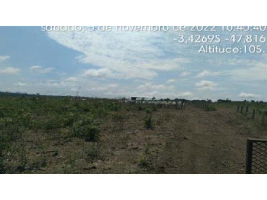 Imagem 8 do Leilão de Área Rural - Zona Rural - Paragominas/PA