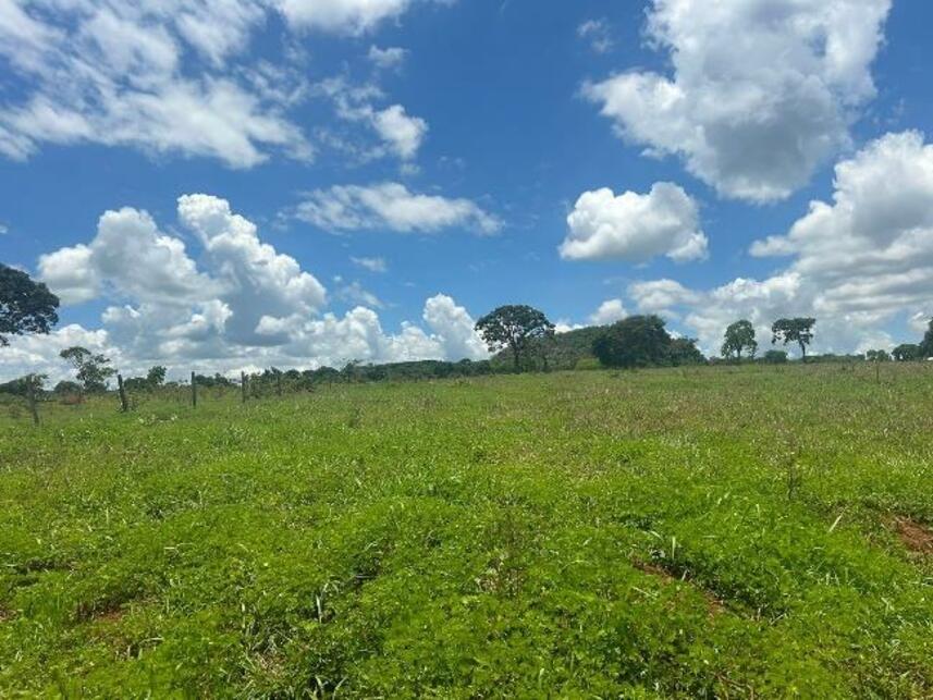 Imagem 7 do Leilão de Área Rural - Zona Rural - Gurinhatã/MG