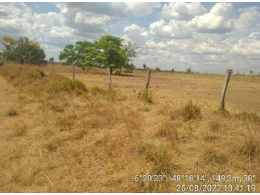 Imagem 7 do Leilão de Área Rural - Zona Rural - Ananás/TO