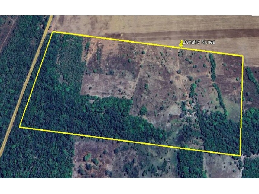 Imagem do Leilão de Área Rural - Zona Rural - Talismã/TO