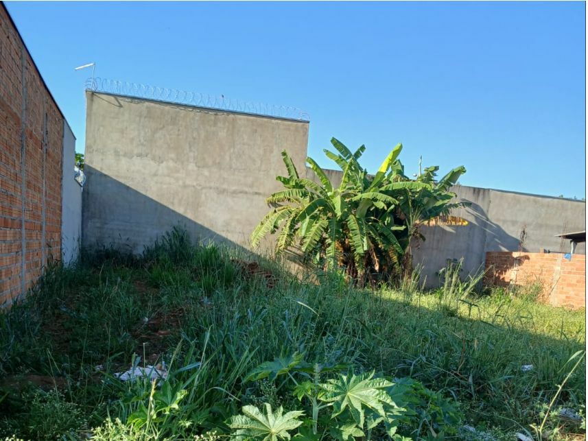 Imagem 1 do Leilão de Terreno - Residencial José Pedro Carneiro - Pontal/SP