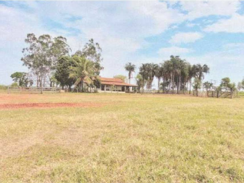 Imagem 8 do Leilão de Área Rural - Zona Rural - Itarumã/GO