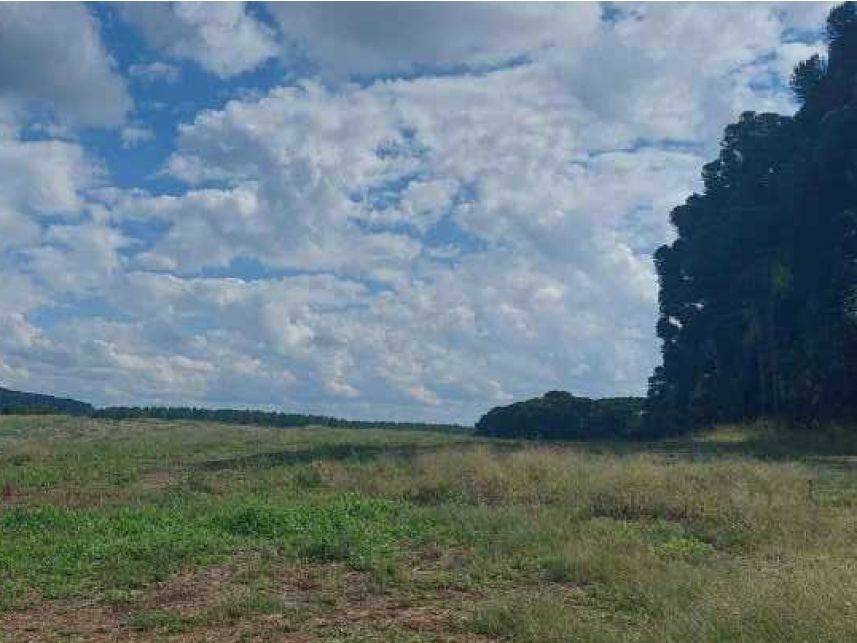 Imagem 3 do Leilão de Área Rural - Área Rural - Campo do Tenente/PR