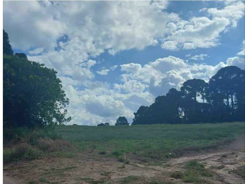 Imagem 7 do Leilão de Área Rural - Área Rural - Campo do Tenente/PR