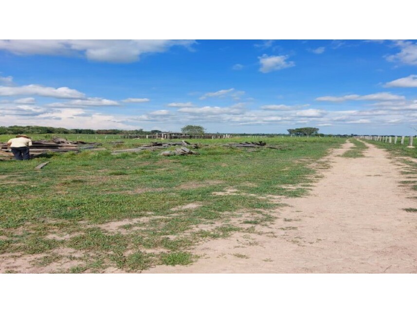Imagem 7 do Leilão de Área Rural - Zona Rural - Colíder/MT