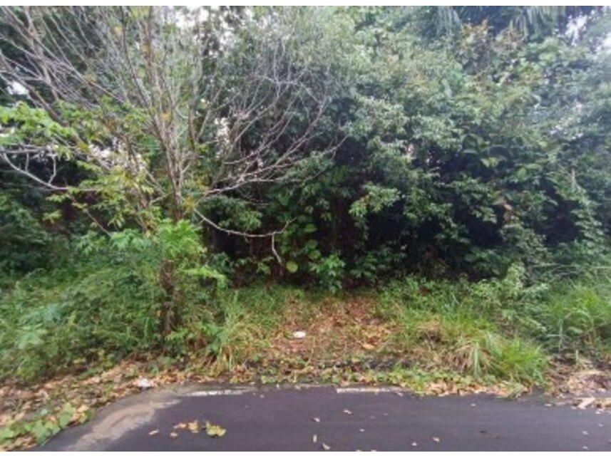 Imagem 2 do Leilão de Terreno - Loteamento Villa Suíça - Manaus/AM