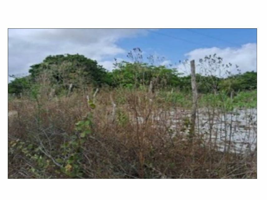 Imagem  do Leilão de Terreno - Curimatã - Pacajus/CE