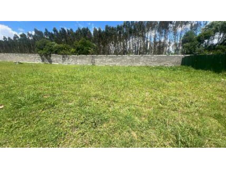 Imagem 2 do Leilão de Terreno - Colônia Dona Luíza - Ponta Grossa/PR