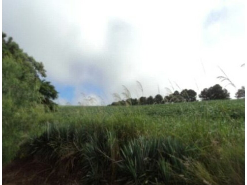 Imagem 4 do Leilão de Terreno - Parque Industrial I - Arapongas/PR