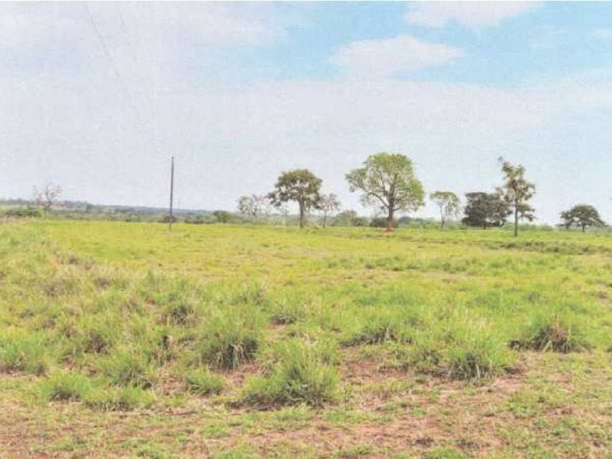 Imagem 7 do Leilão de Área Rural - Zona Rural - Itarumã/GO