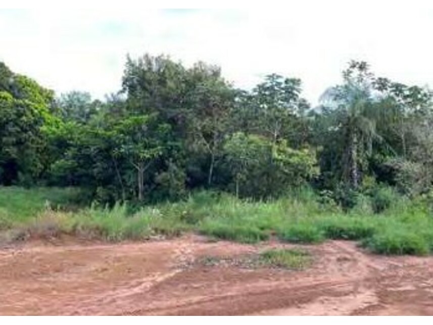 Imagem 13 do Leilão de Área Rural - Zona Rural - Alto Boa Vista/MT