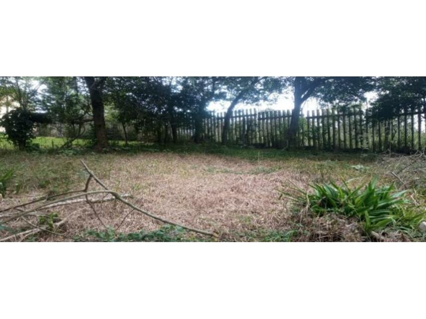 Imagem 13 do Leilão de Casa - Elsa - Viamão/RS