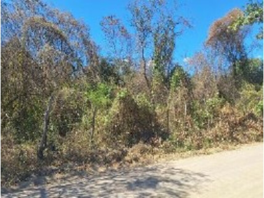 Imagem 2 do Leilão de Terreno - Horto - Juazeiro do Norte/CE