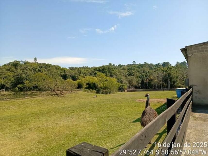Imagem 8 do Leilão de Área Rural - Rincão da Madalena - Gravataí/RS