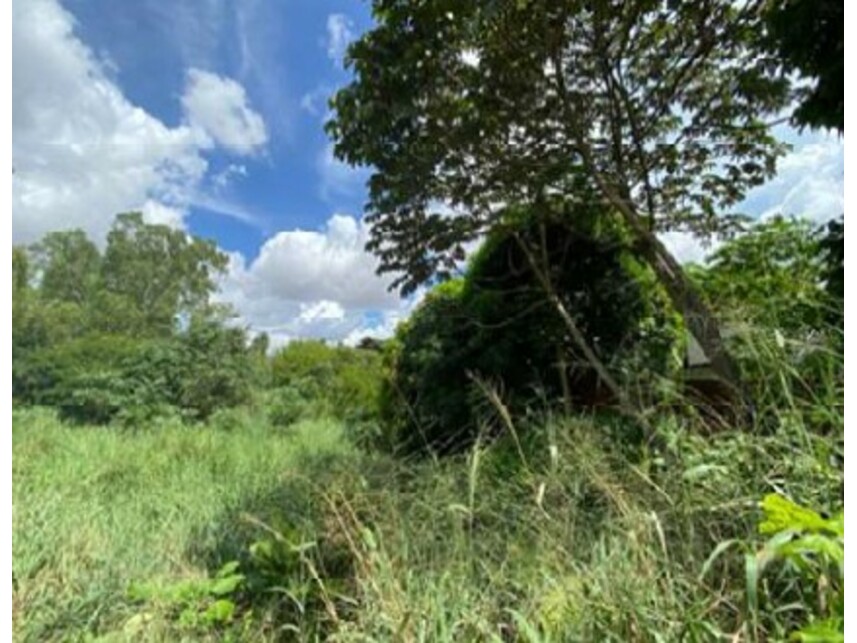 Imagem 3 do Leilão de Terreno - Cohama - São Luís/MA