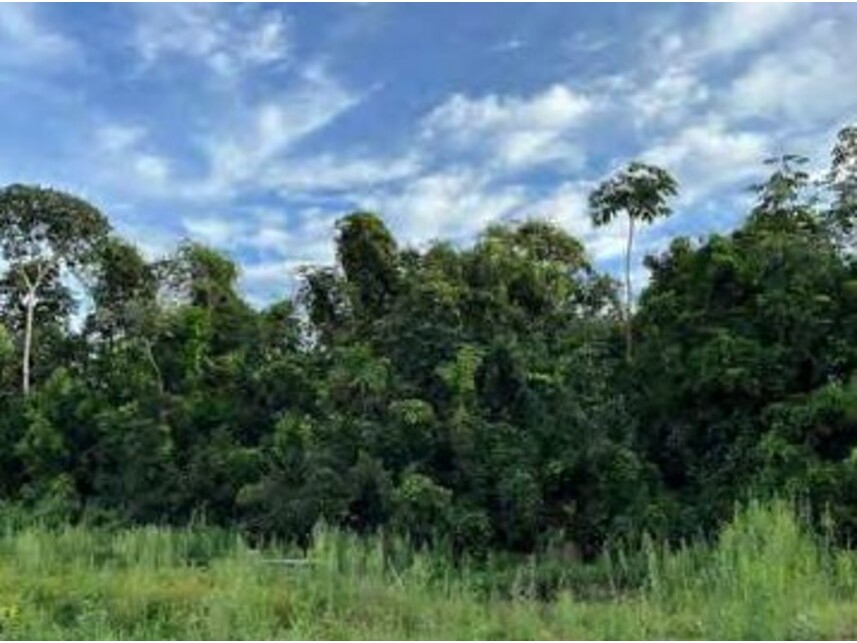 Imagem 16 do Leilão de Área Rural - Zona Rural - Alto Boa Vista/MT