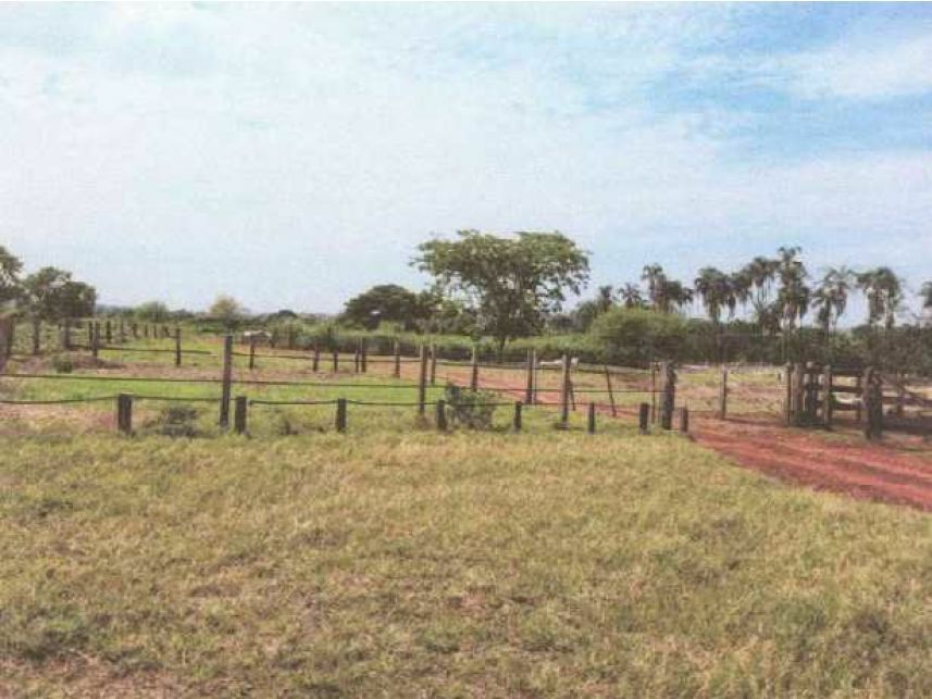 Imagem 4 do Leilão de Área Rural - Zona Rural - Itarumã/GO
