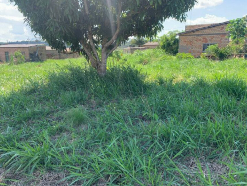 Imagem 3 do Leilão de Terreno - Ibiza - Altamira/PA