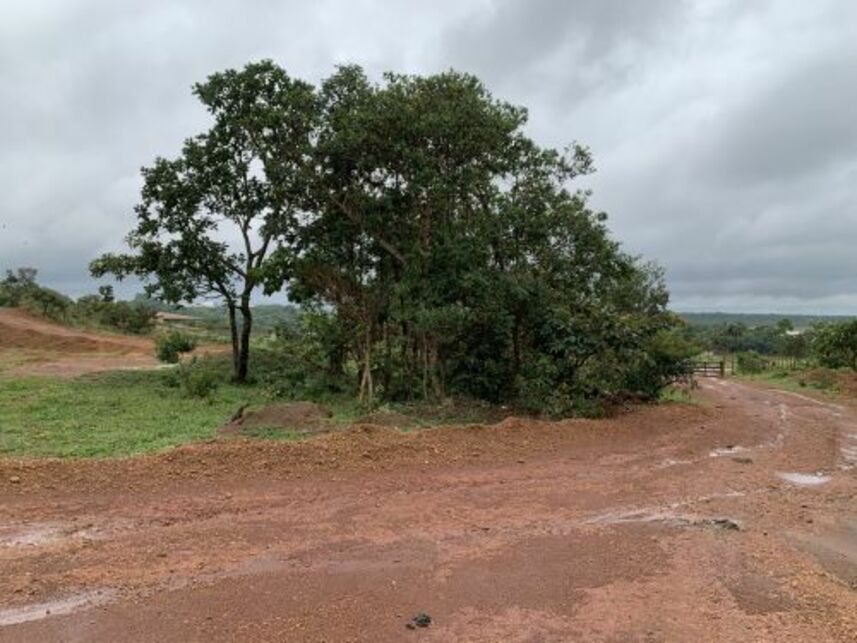 Imagem 13 do Leilão de Área Rural - Área Rural de Anápolis - Anápolis/GO